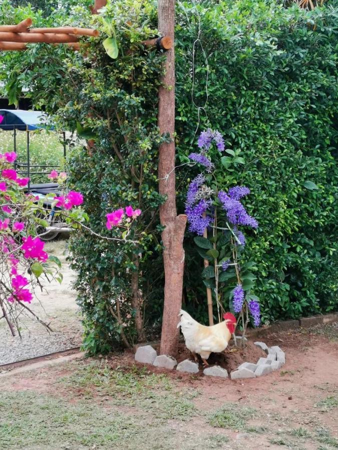 Krabilife Resort Ban Ko Kwang Bagian luar foto