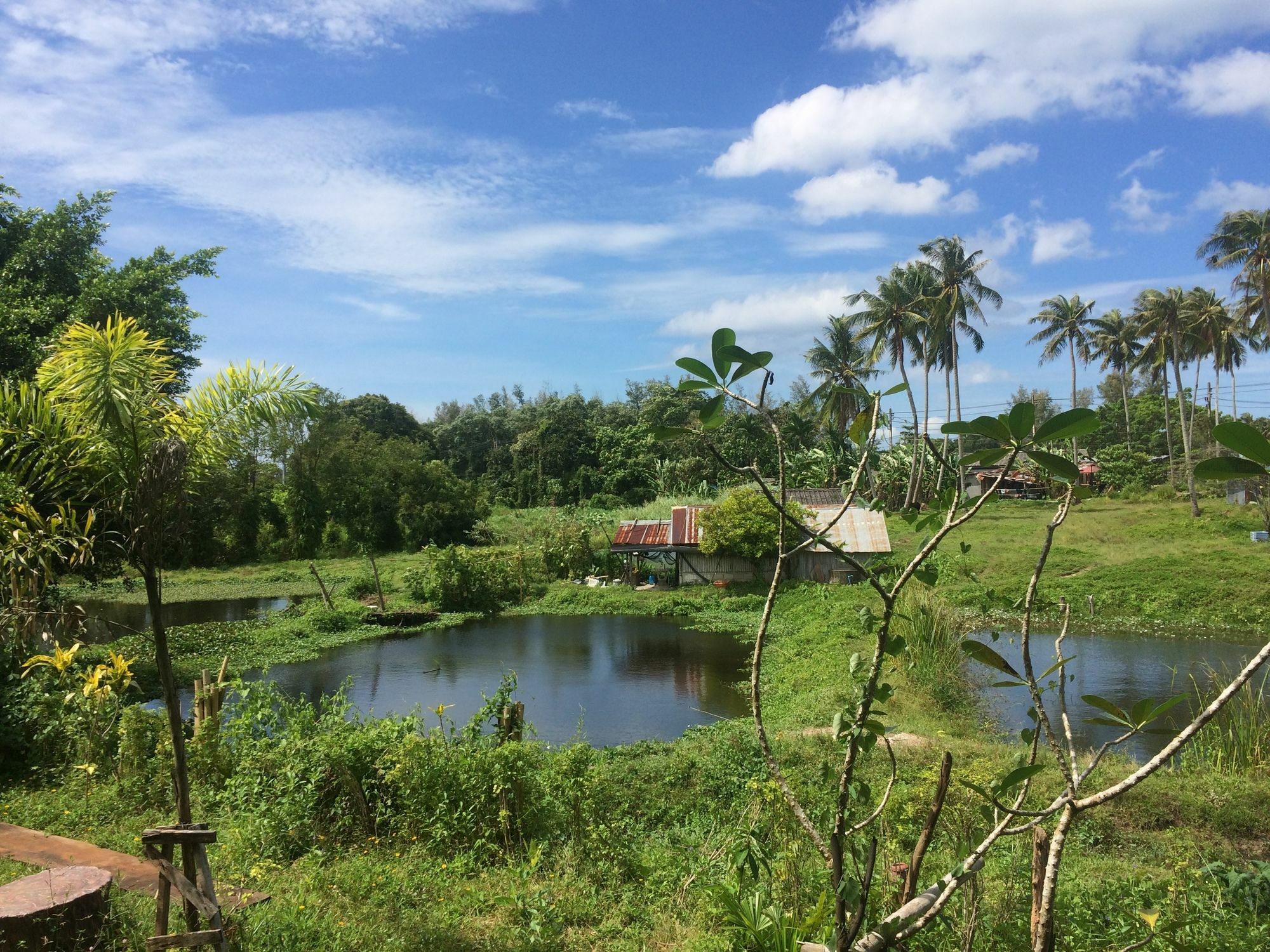 Krabilife Resort Ban Ko Kwang Bagian luar foto